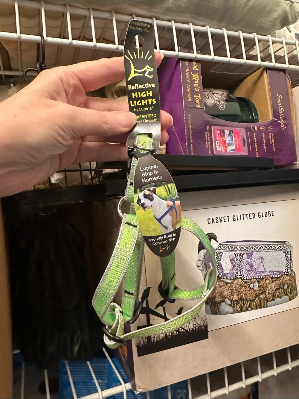 1 Reflective Lupine Dog Harness And 1 Top Paw Collar Bundle